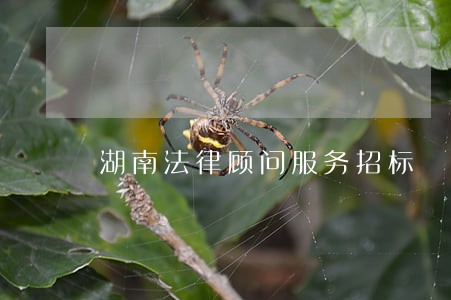 湖南法律顾问服务招标 湖南法律顾问服务招标