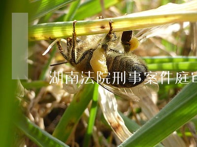 湖南法院刑事案件庭审直播 湖南法院刑事案件庭审直播