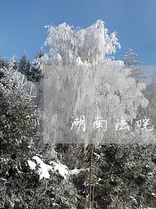 湖南法院强化建议 湖南法院强化建议