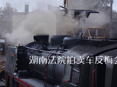 湖南法院拍卖车反悔会怎么样 湖南法院拍卖车反悔会怎么样
