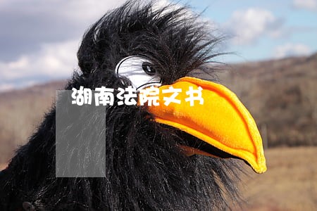湖南法院文书 湖南法院文书