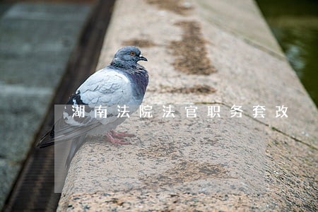 湖南法院法官职务套改 湖南法院法官职务套改
