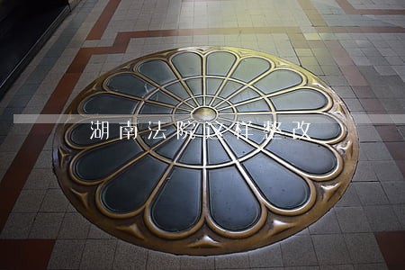湖南法院这样整改