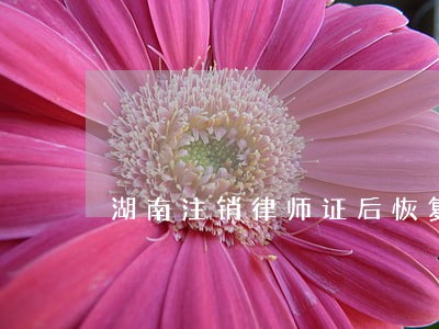 湖南注销律师证后恢复执业 湖南注销律师证后恢复执业