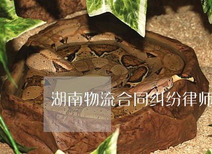 湖南物流合同纠纷律师 湖南物流合同纠纷律师