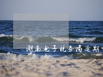 湖南电子税务局逾期申报怎么办 湖南电子税务局逾期申报怎么办