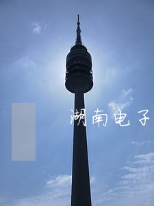 湖南电子税务局逾期补报 湖南电子税务局逾期补报