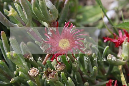 湖南疫情防控期间逾期上牌 湖南疫情防控期间逾期上牌