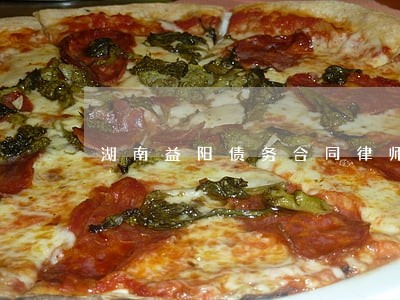 湖南益阳债务合同律师哪个强 湖南益阳债务合同律师哪个强