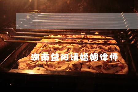 湖南益阳请婚姻律师 湖南益阳请婚姻律师