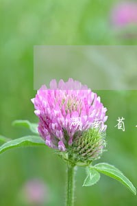 湖南省专业律师哪个好 湖南省专业律师哪个好