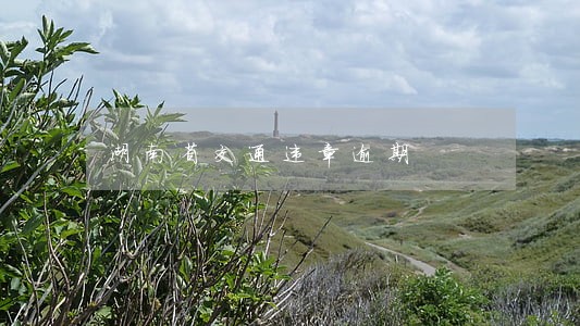 湖南省交通违章逾期 湖南省交通违章逾期