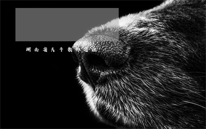 湖南省关于教师违法