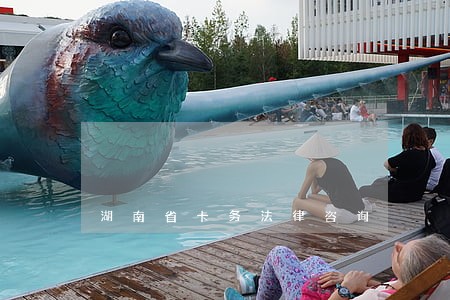 湖南省卡务法律咨询