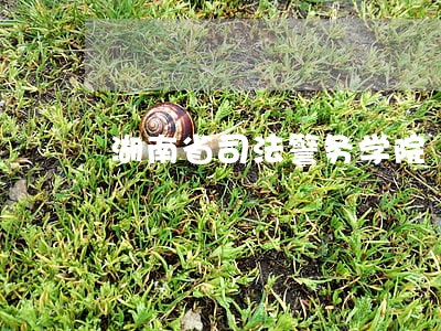 湖南省司法警务学院