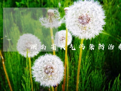 湖南省大气污染防治条例