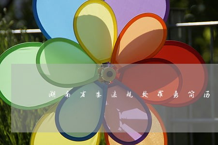 湖南省委法规处罗勇简历 湖南省委法规处罗勇简历