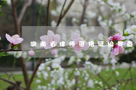 湖南省律师资格证编号查询 湖南省律师资格证编号查询