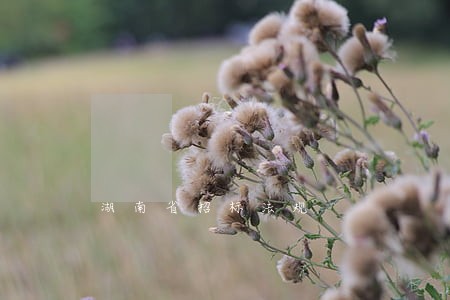 湖南省招标法规 湖南省招标法规