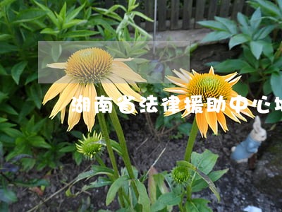 湖南省法律援助中心地址 湖南省法律援助中心地址