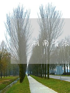 湖南省法律顾问委员会 湖南省法律顾问委员会