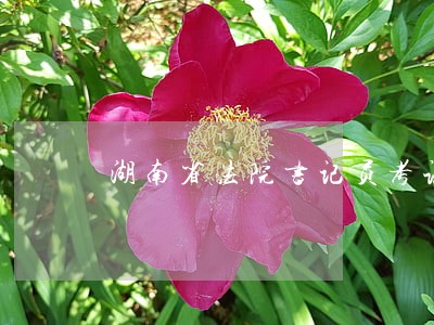湖南省法院书记员考试试题