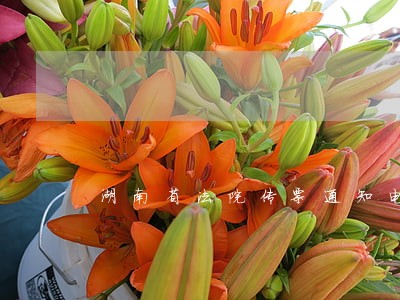 湖南省法院传票通知电话多少 湖南省法院传票通知电话多少