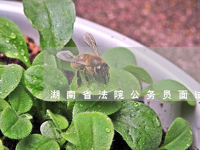 湖南省法院公务员面试通知 湖南省法院公务员面试通知