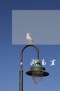 湖南省生育证逾期办理材料 湖南省生育证逾期办理材料