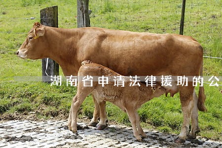 湖南省申请法律援助的公民