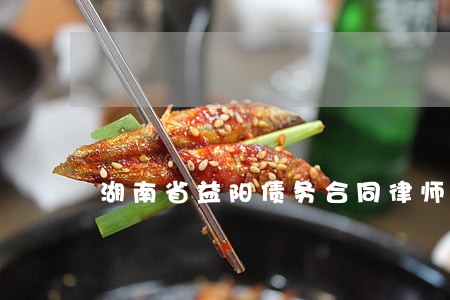 湖南省益阳债务合同律师多少钱