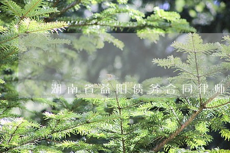 湖南省益阳债务合同律师电话咨询