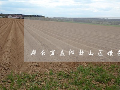 湖南省益阳赫山区债务合同律师 湖南省益阳赫山区债务合同律师