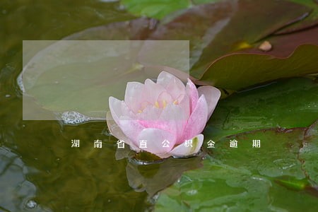 湖南省直公积金逾期 湖南省直公积金逾期