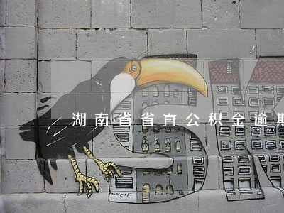 湖南省省直公积金逾期 湖南省省直公积金逾期