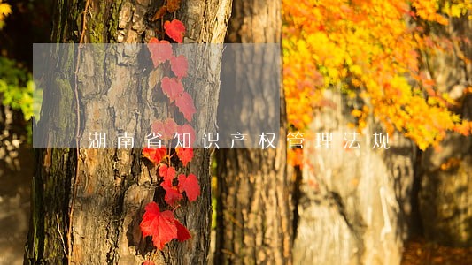 湖南省知识产权管理法规 湖南省知识产权管理法规