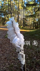 湖南省离婚律师事务所 湖南省离婚律师事务所