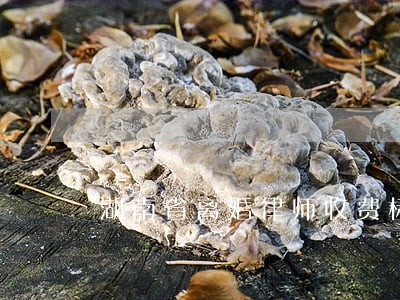 湖南省离婚律师收费标准 湖南省离婚律师收费标准