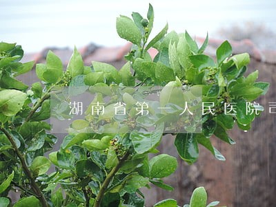 湖南省第一人民医院司法鉴定中心