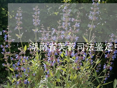 湖南省芙蓉司法鉴定中心在哪里 湖南省芙蓉司法鉴定中心在哪里