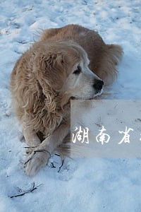 湖南省衡阳铁路运输法院地址 湖南省衡阳铁路运输法院地址