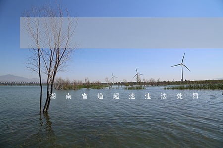 湖南省道超速违法处罚 湖南省道超速违法处罚