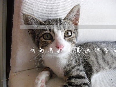 湖南省鑫商易法律咨询 湖南省鑫商易法律咨询