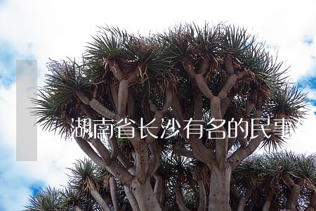 湖南省长沙有名的民事债务律师 湖南省长沙有名的民事债务律师