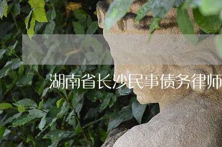 湖南省长沙民事债务律师哪个好