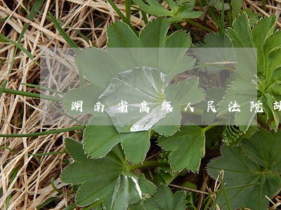 湖南省高级人民法院胡建福 湖南省高级人民法院胡建福