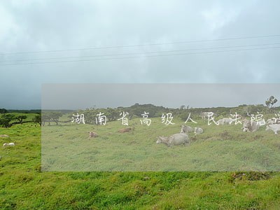 湖南省高级人民法院谭智崇 湖南省高级人民法院谭智崇