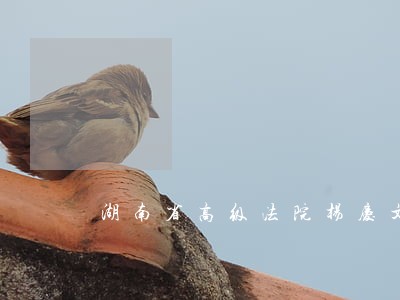 湖南省高级法院杨庆文简历 湖南省高级法院杨庆文简历