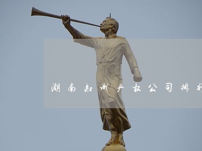 湖南知识产权公司排行榜 湖南知识产权公司排行榜