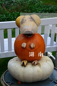 湖南票据逾期提示承兑费用 湖南票据逾期提示承兑费用